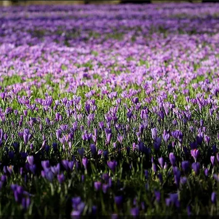 Semesterbostad Paulsen