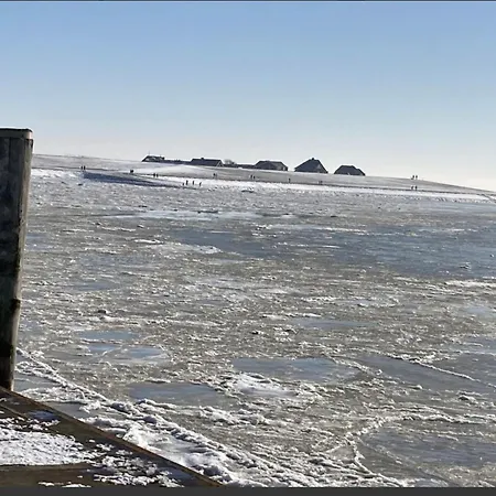 Paulsen Semesterbostad *