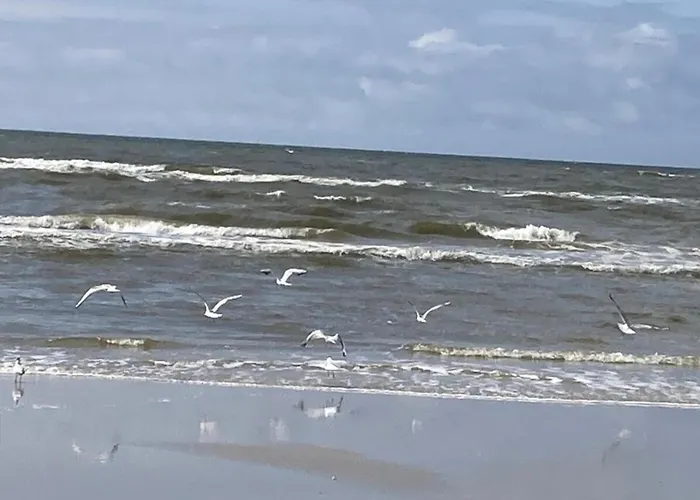 度假居 Paulsen Breklum